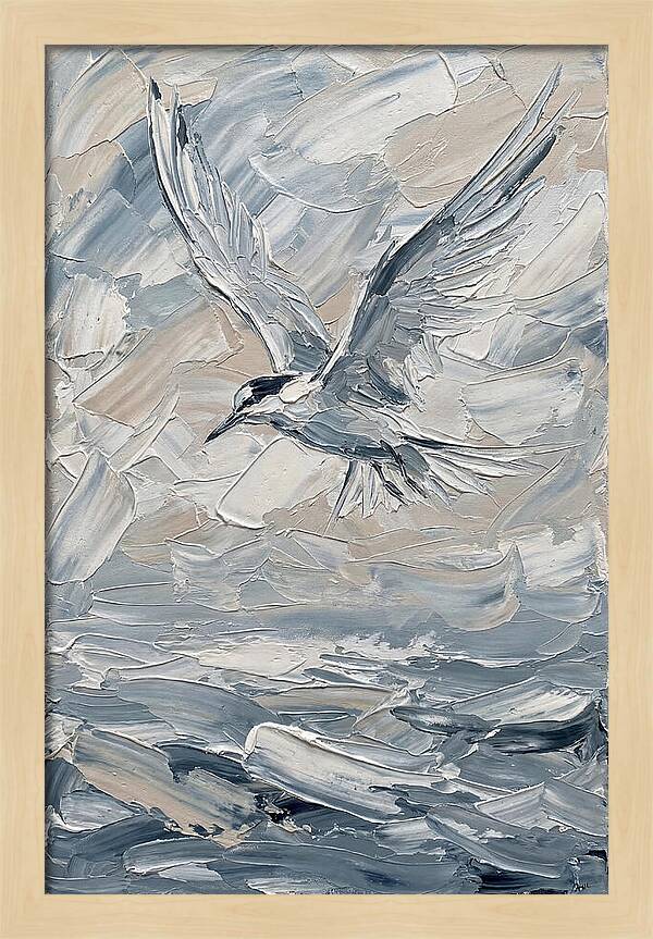 Graceful Tern Soaring
