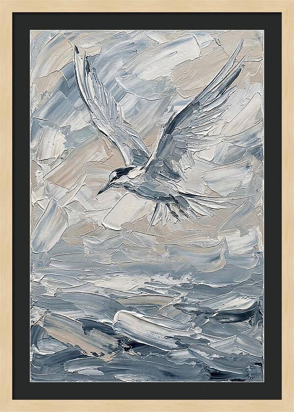 Graceful Tern Soaring