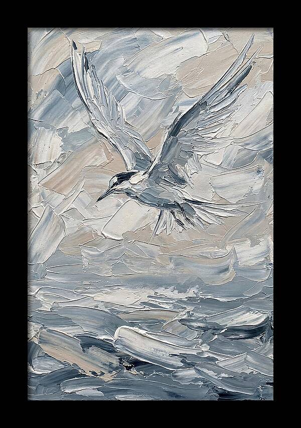 Graceful Tern Soaring