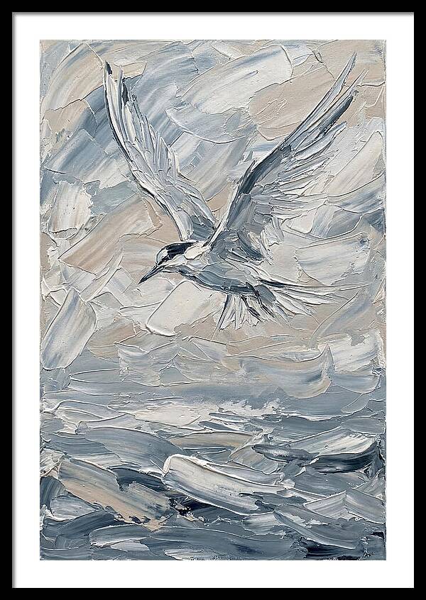 Graceful Tern Soaring