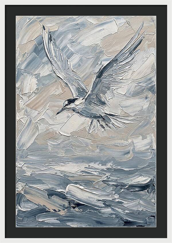 Graceful Tern Soaring