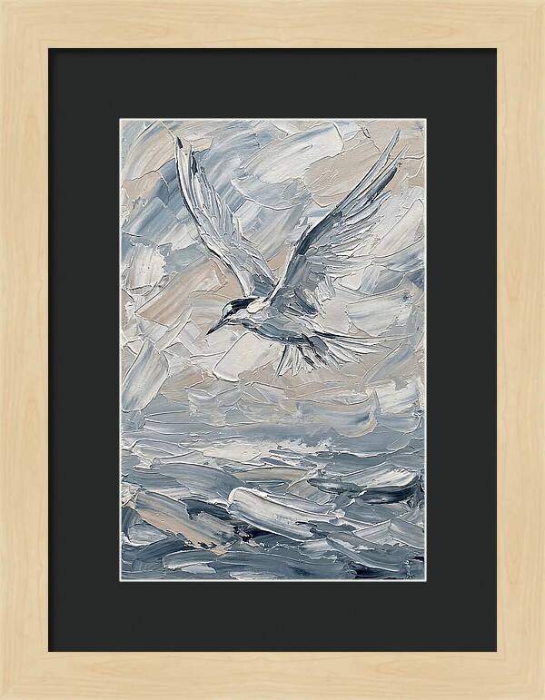 Graceful Tern Soaring