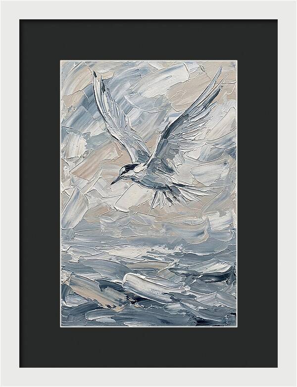 Graceful Tern Soaring