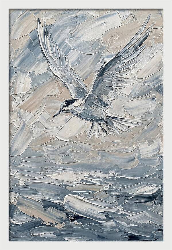 Graceful Tern Soaring