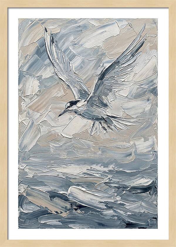 Graceful Tern Soaring