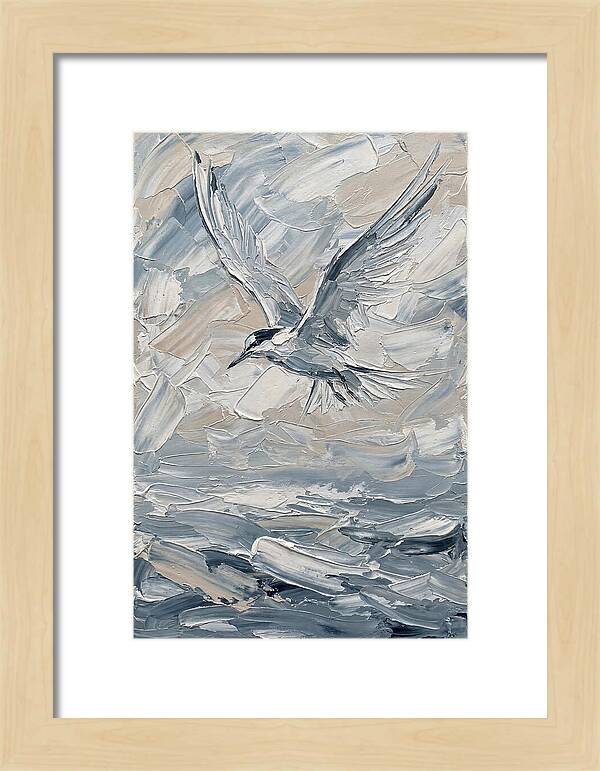 Graceful Tern Soaring