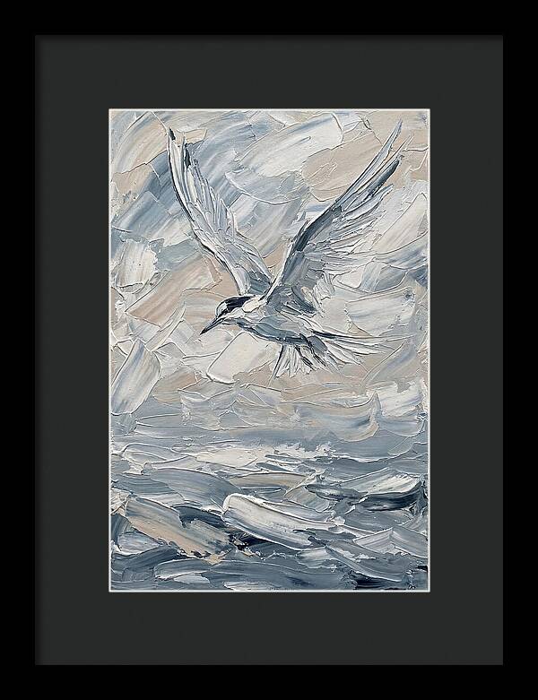 Graceful Tern Soaring