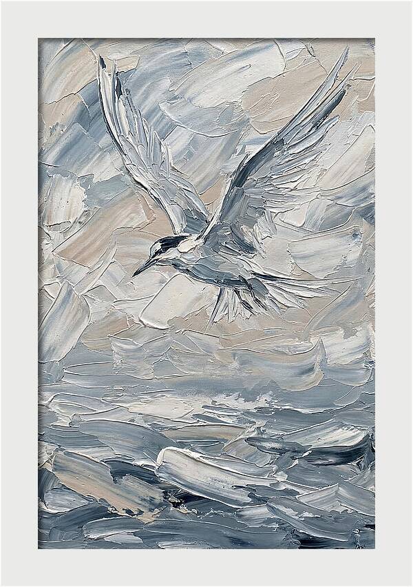 Graceful Tern Soaring