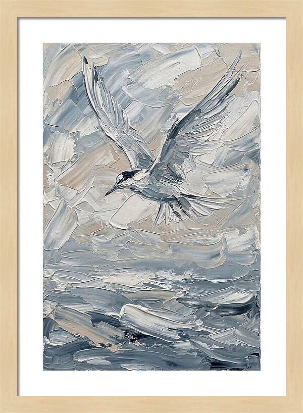 Graceful Tern Soaring