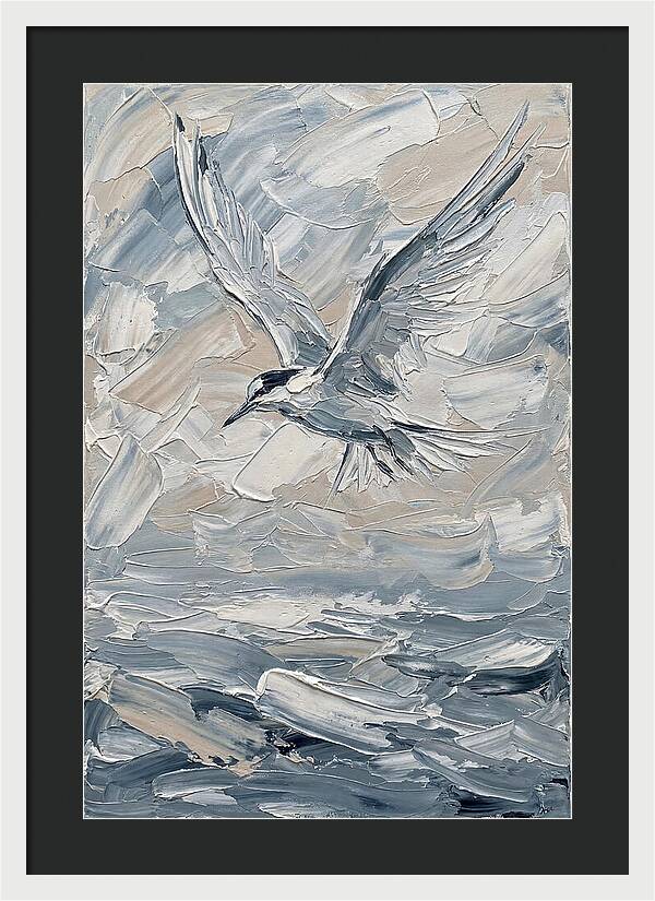 Graceful Tern Soaring