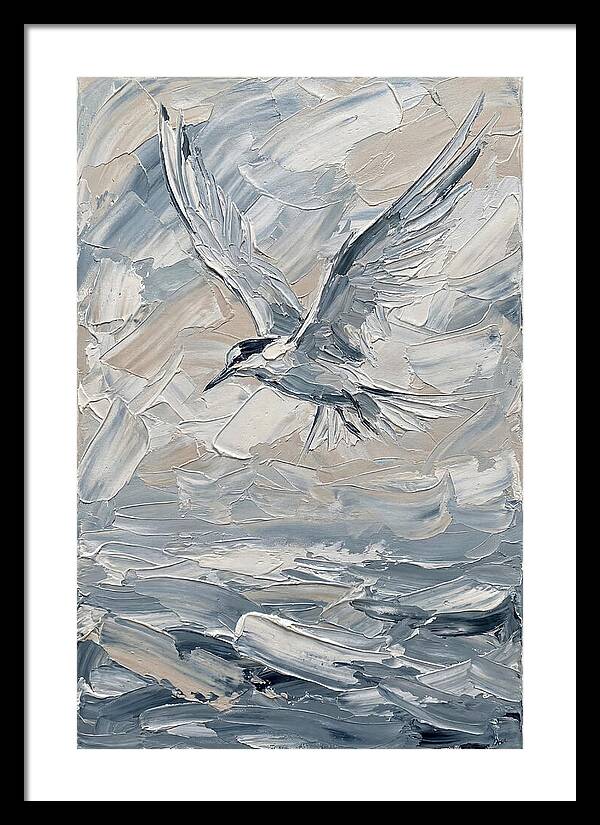 Graceful Tern Soaring