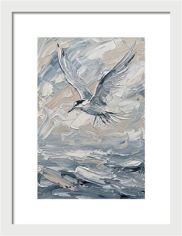 Graceful Tern Soaring