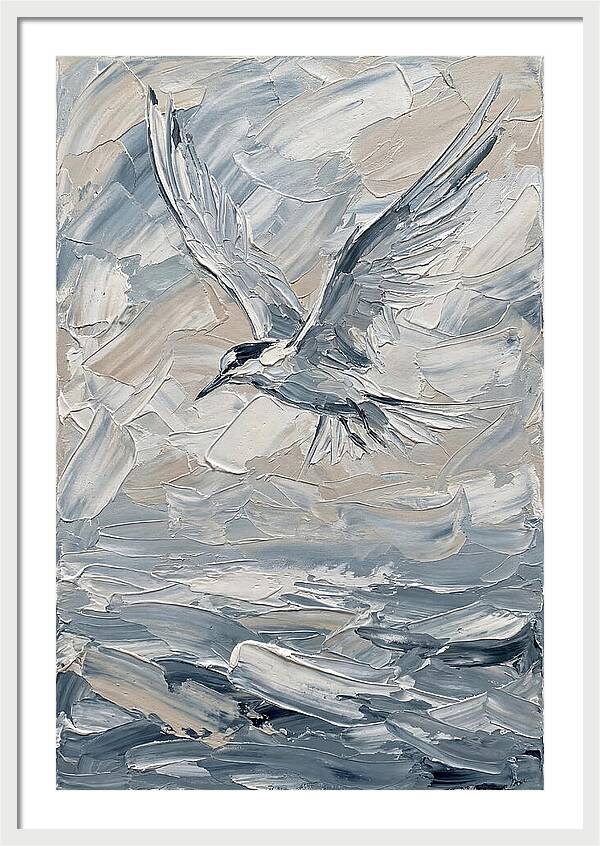 Graceful Tern Soaring