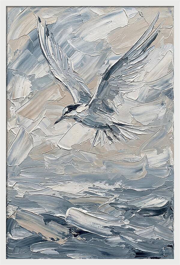 Graceful Tern Soaring