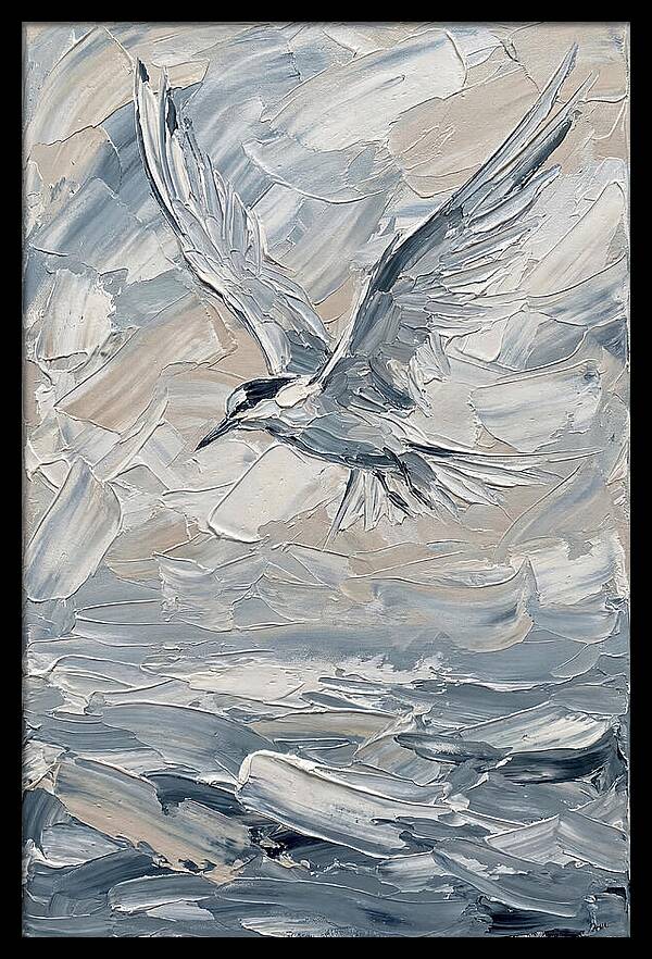 Graceful Tern Soaring