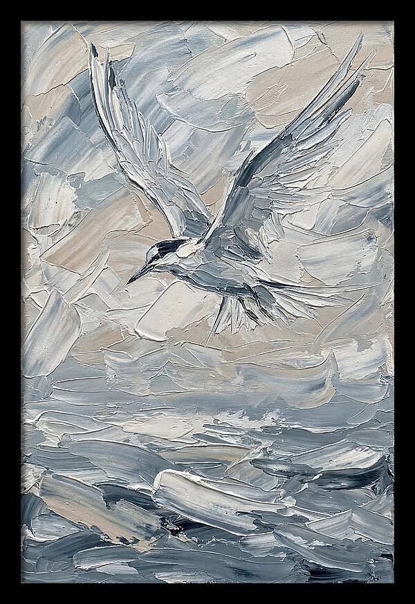 Graceful Tern Soaring
