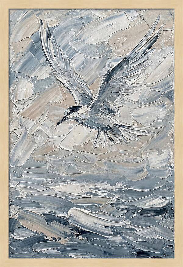 Graceful Tern Soaring