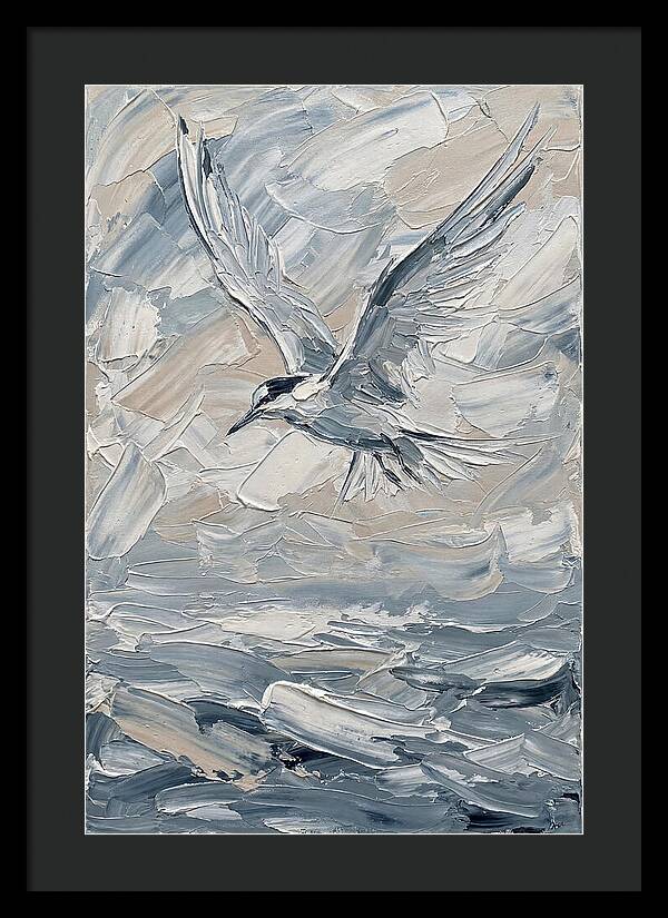 Graceful Tern Soaring