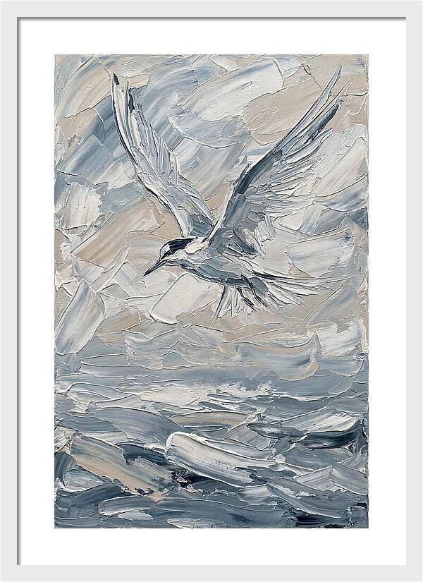 Graceful Tern Soaring