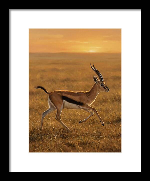 Graceful Thomson Gazelle Silhouetted
