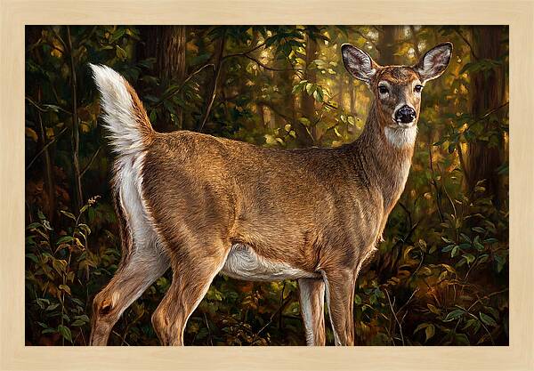 Graceful White Tailed Deer In Their Habitat