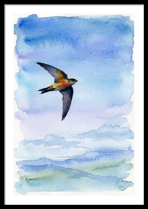 Graceful Wings In Motion