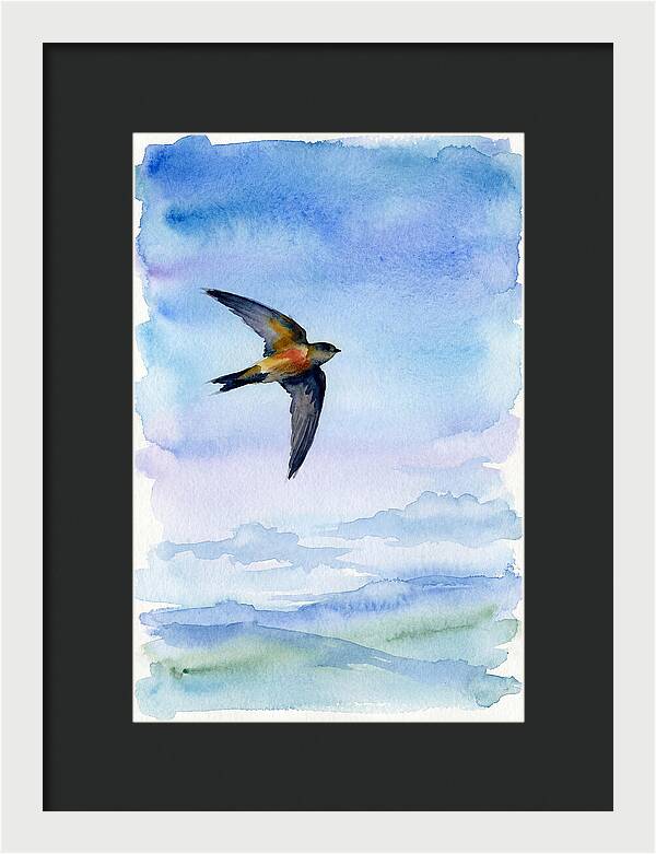 Graceful Wings In Motion