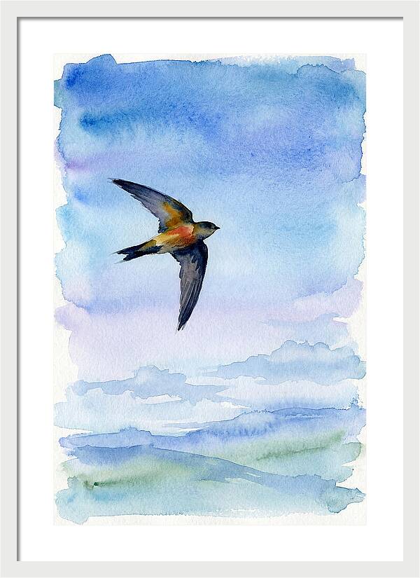 Graceful Wings In Motion