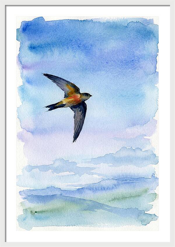 Graceful Wings In Motion
