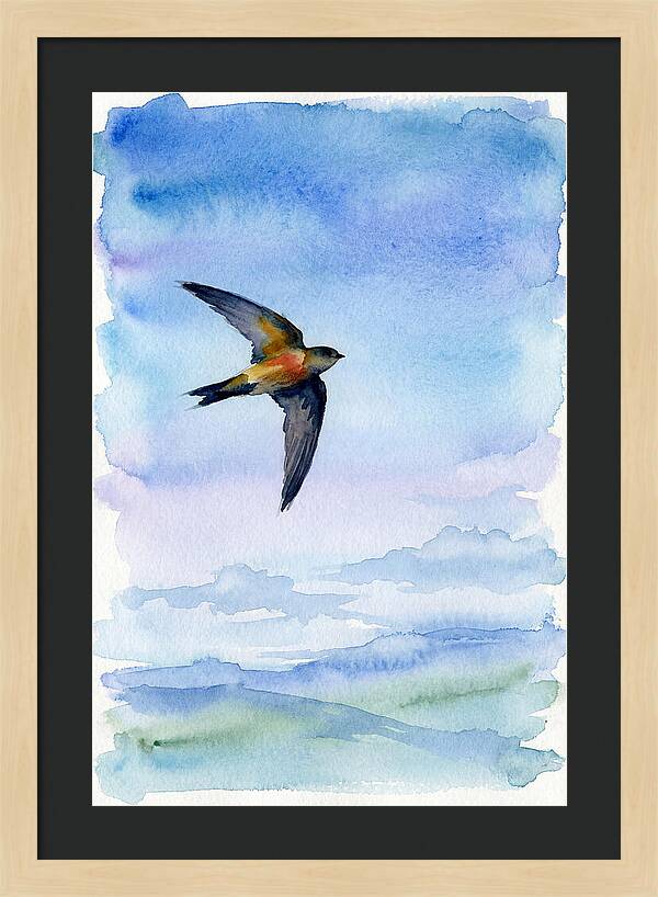 Graceful Wings In Motion