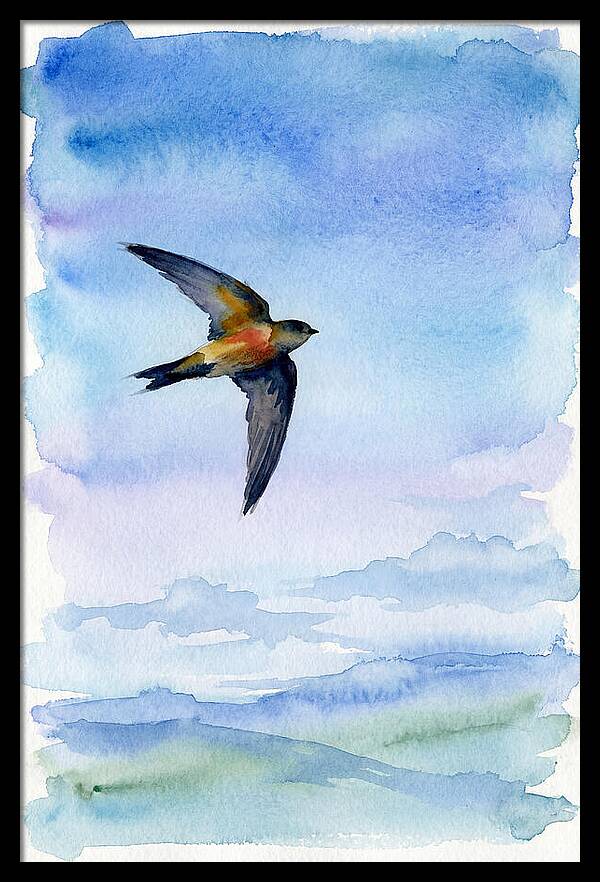 Graceful Wings In Motion