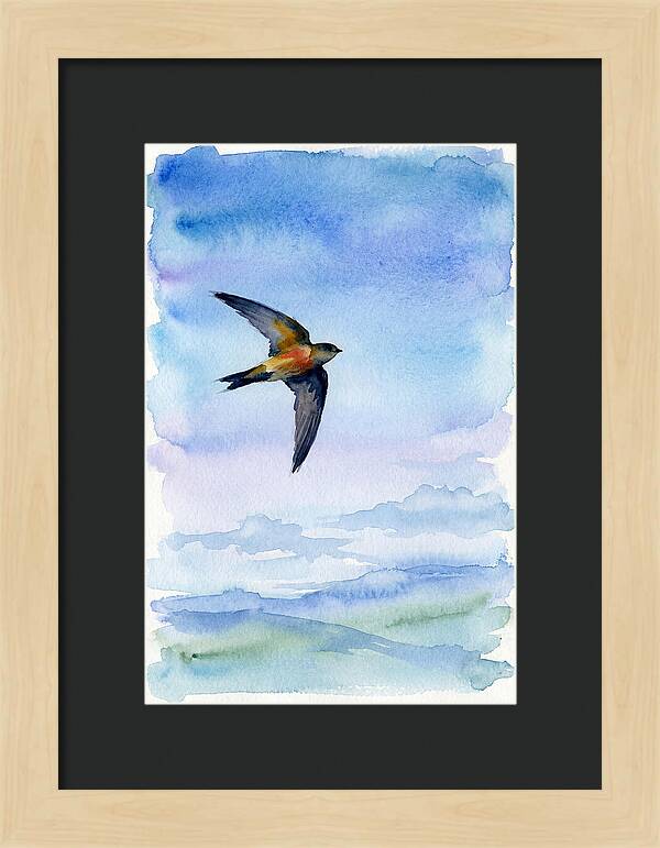 Graceful Wings In Motion