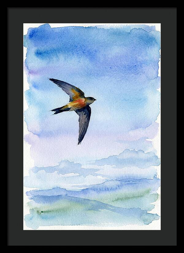 Graceful Wings In Motion