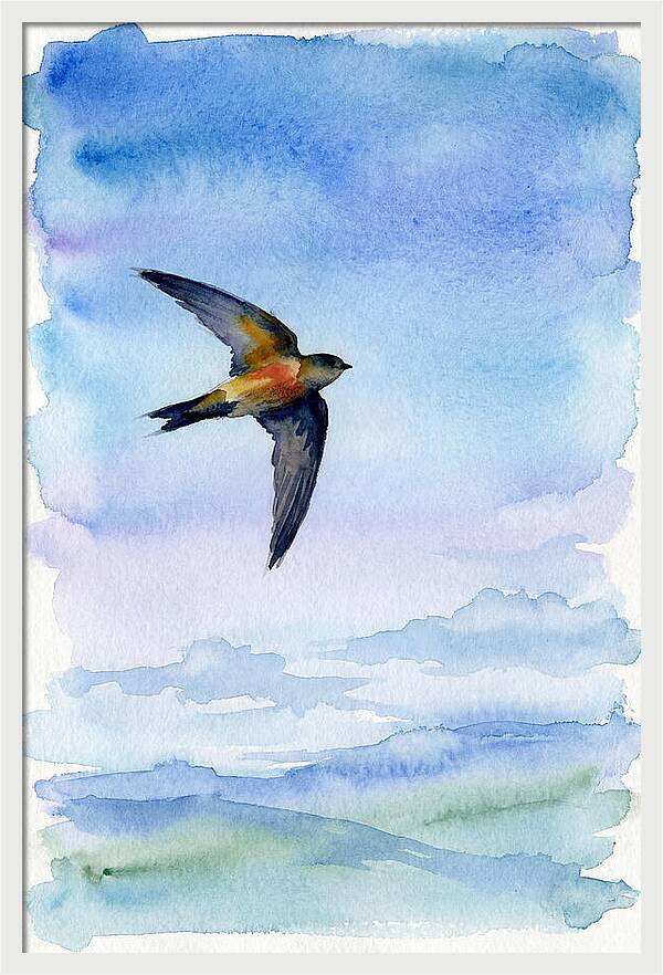 Graceful Wings In Motion