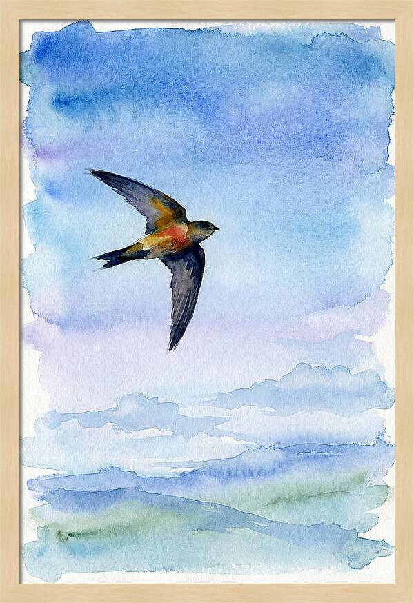 Graceful Wings In Motion