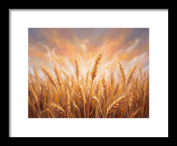 Grain Field At Dusk
