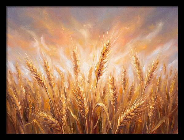 Grain Field At Dusk