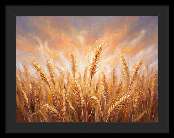 Grain Field At Dusk