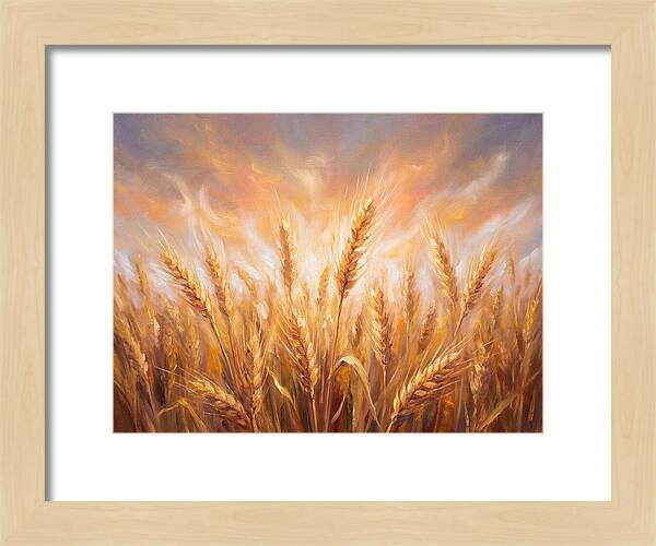 Grain Field At Dusk