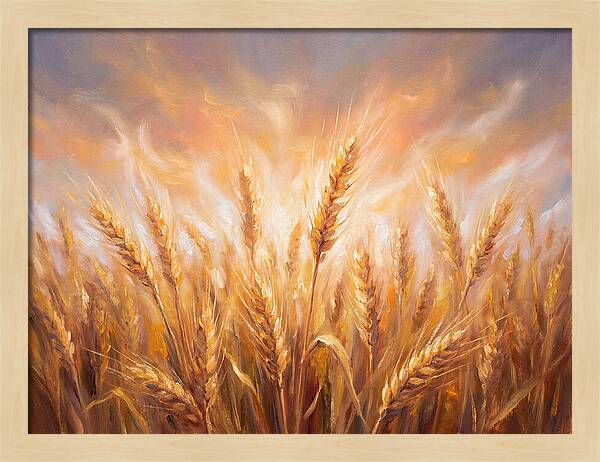 Grain Field At Dusk