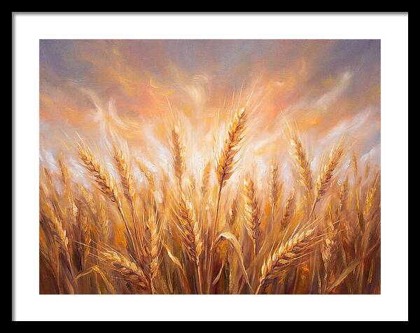 Grain Field At Dusk