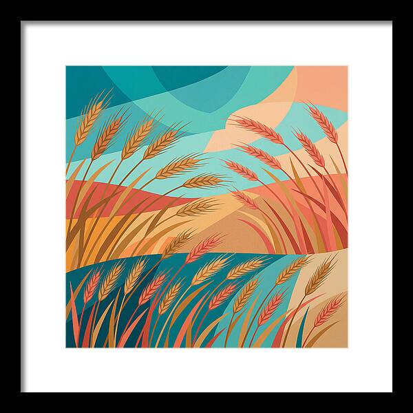 Grain Fields In Color