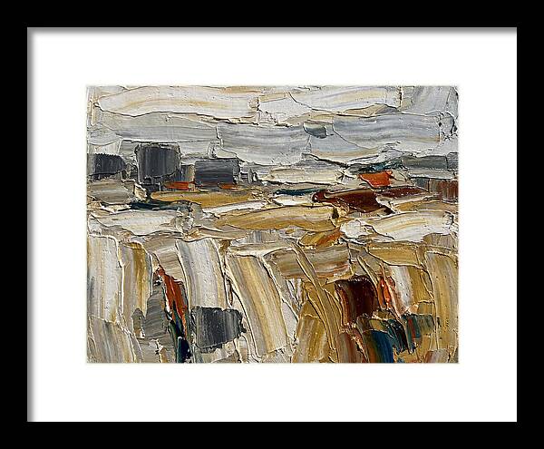 Grain Fields In Texture