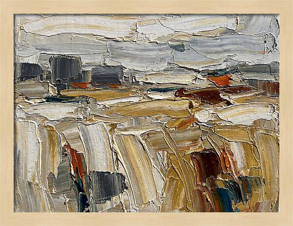 Grain Fields In Texture