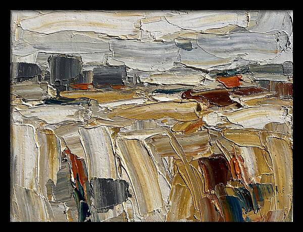 Grain Fields In Texture