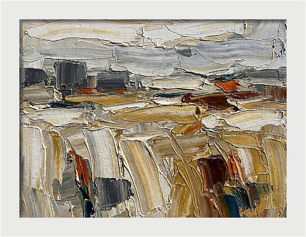 Grain Fields In Texture