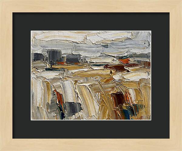 Grain Fields In Texture