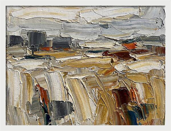 Grain Fields In Texture