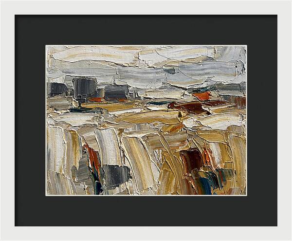 Grain Fields In Texture