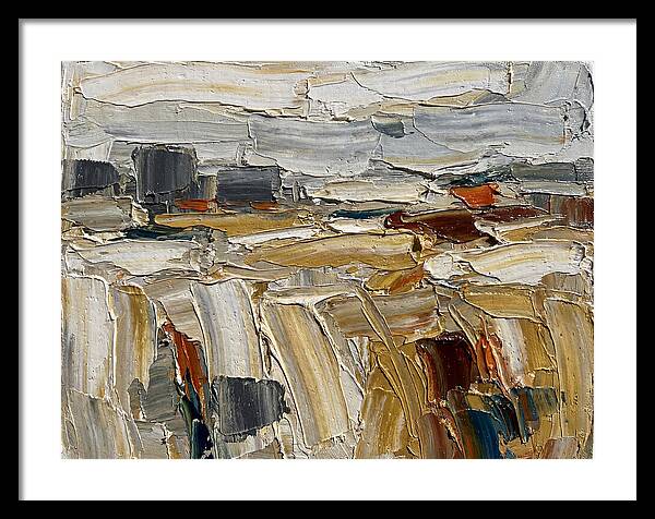 Grain Fields In Texture